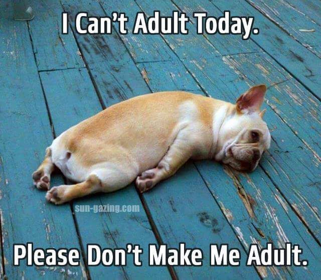 don't make me adult today